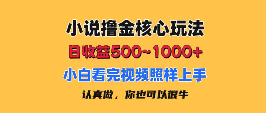 [热门给力项目]（11461期）小说撸金核心玩法，日收益500-1000+，小白看完照样上手，0成本有手就行-第1张图片-智慧创业网