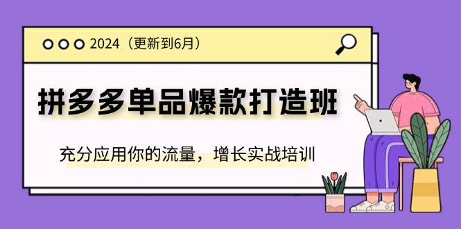 [国内电商]（11556期）2024拼多多-单品爆款打造班(更新6月)，充分应用你的流量，增长实战培训
