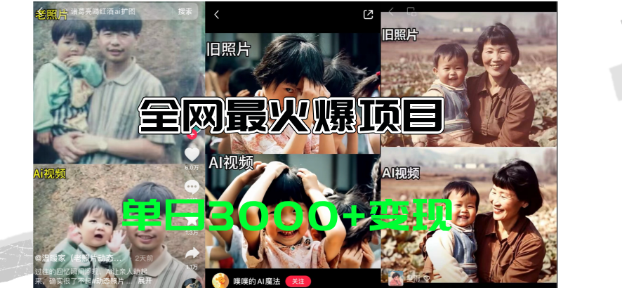 [短视频运营]（11546期）全网爆火的AI让老照片动起来教程，蹭热点日赚3000+，内含免费工具一键...