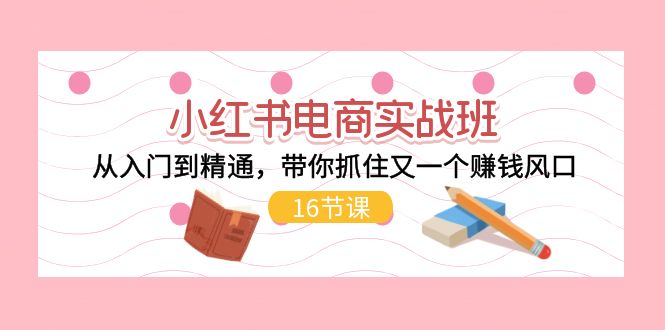 [小红书]（11533期）小红书电商实战班，从入门到精通，带你抓住又一个赚钱风口（16节）