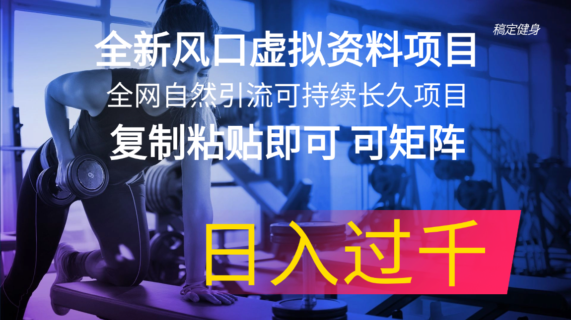 [虚拟资源]（11587期）全新风口虚拟资料项目 全网自然引流可持续长久项目 复制粘贴即可可矩阵...