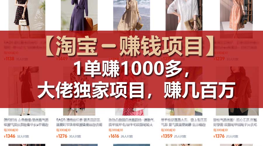 [国内电商]（11685期）【淘宝赚钱项目】1单可赚1000多，大佬独家项目，年赚几百万