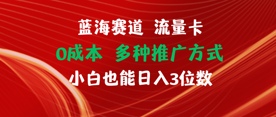 [热门给力项目]（11768期）蓝海赛道 流量卡 0成本 小白也能日入三位数