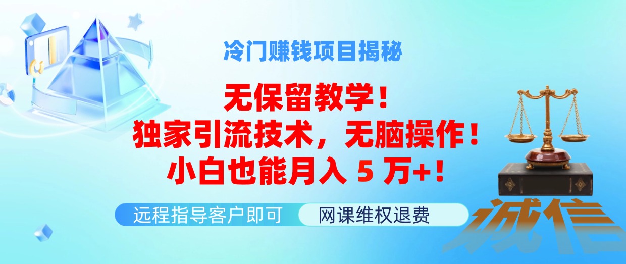 [引流-涨粉-软件]（11864期）冷门赚钱项目无保留教学！独家引流技术，无脑操作！小白也能月入5万+！