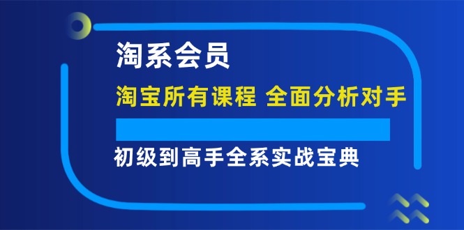[国内电商]（12055期）淘系会员【淘宝所有课程，全面分析对手】，初级到高手全系实战宝典