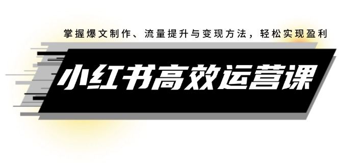 [小红书]（12369期）小红书高效运营课：掌握爆文制作、流量提升与变现方法，轻松实现盈利