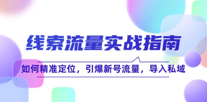 [引流-涨粉-软件]（12382期）线 索 流 量-实战指南：如何精准定位，引爆新号流量，导入私域