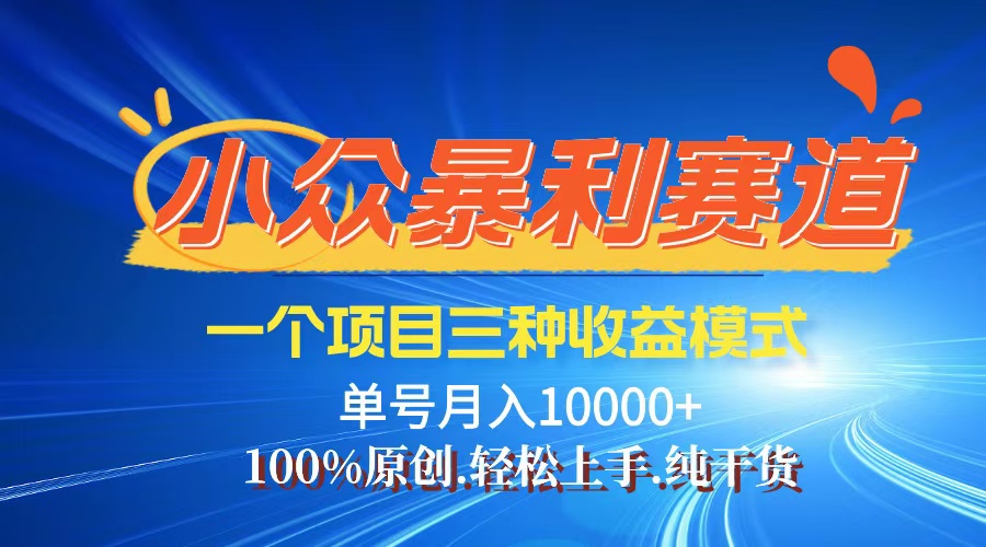 [虚拟项目]（12579期）【老人言】-视频号爆火赛道，三种变现方式，0粉新号调调爆款-第1张图片-智慧创业网