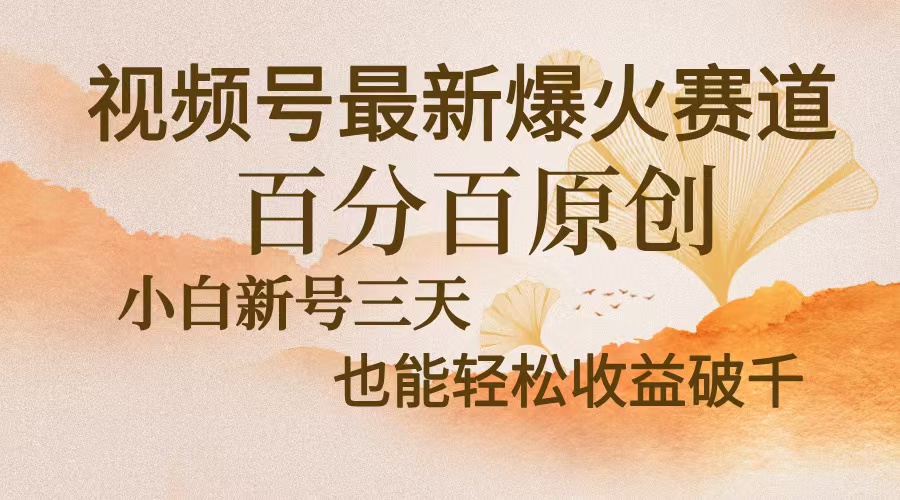 [短视频运营]（13225期）视频号最新爆火赛道，中老年粉深信不疑，百分百原创，新号三天收益轻松...-第1张图片-智慧创业网