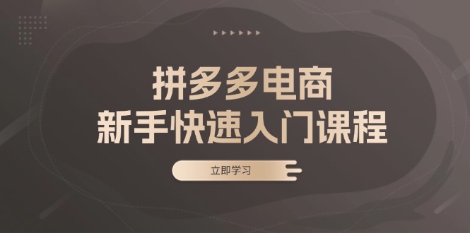 [国内电商]（13289期）拼多多电商新手快速入门课程：涵盖基础、实战与选款，助力小白轻松上手
