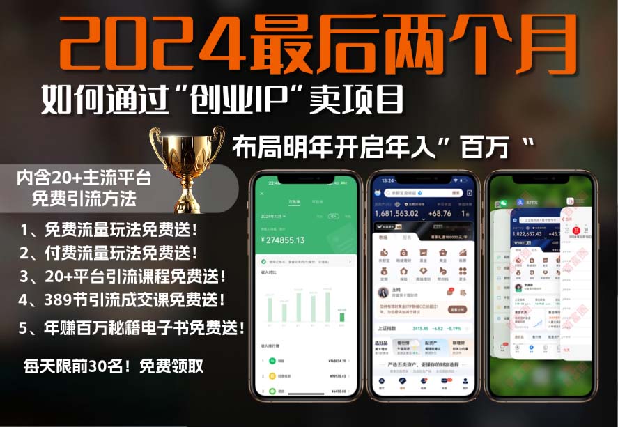 [虚拟项目]（13322期）2024最后两个月如何通过”创业IP“卖项目年入”百万“,创业IP+最强引流...