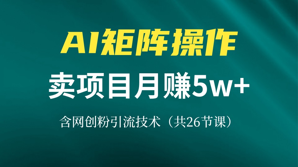 [创业项目]（13335期）网创IP打造课，借助AI卖项目月赚5万+，含引流技术（共26节课）