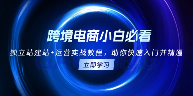 [跨境电商]（13503期）跨境电商小白必看！独立站建站+运营实战教程，助你快速入门并精通