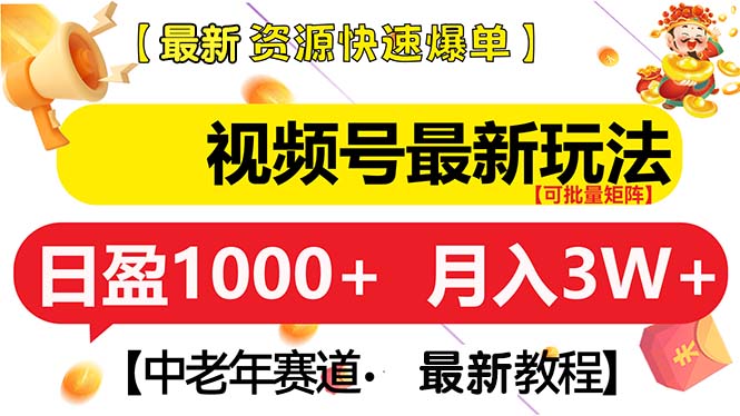 [虚拟项目]（13530期）视频号最新玩法 中老年赛道 月入3W+