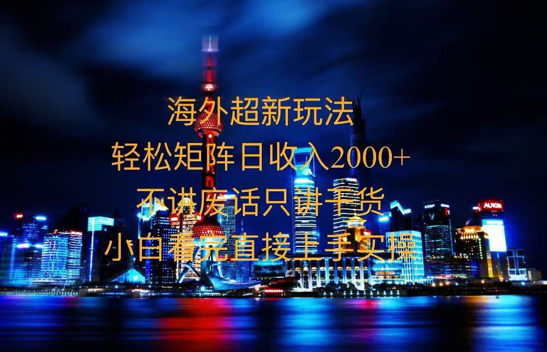 [虚拟项目]（13583期）2025全新海外暴力玩法，操作简单，小白轻松上手