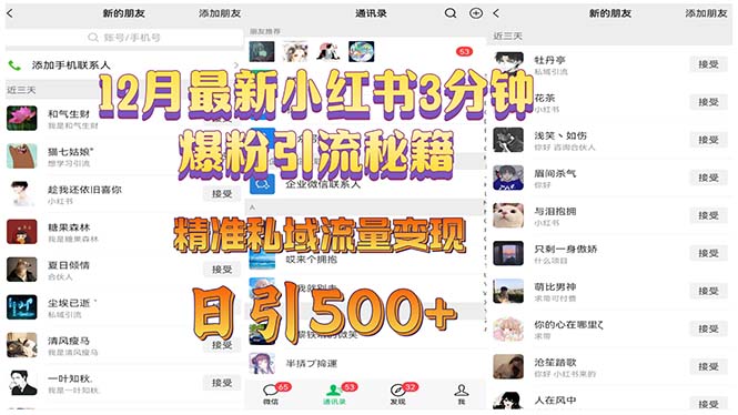 [小红书]（13653期）12月最新小红书3分钟爆粉引流秘籍 精准私域流量变现 日引500+