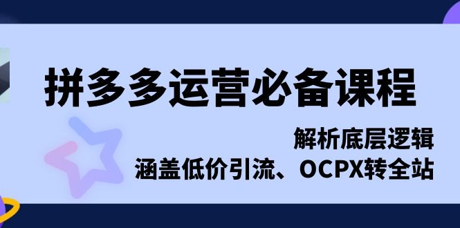 [国内电商]（13700期）拼多多运营必备课程，解析底层逻辑，涵盖低价引流、OCPX转全站