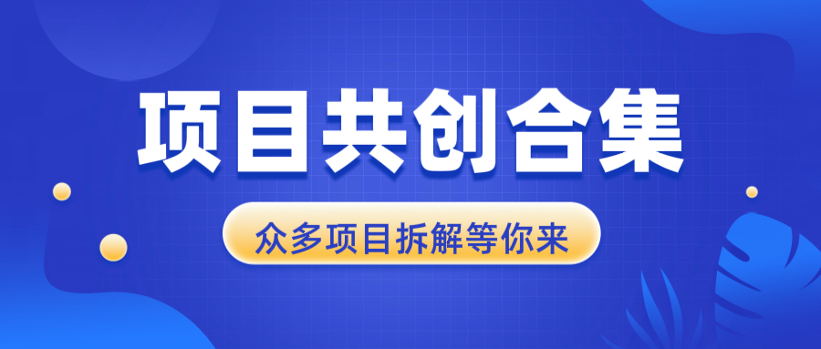 [虚拟项目]（13778期）项目共创合集，从0-1全过程拆解，让你迅速找到适合自已的项目