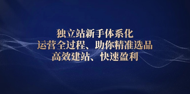 [跨境电商]（13914期）独立站新手体系化 运营全过程，助你精准选品、高效建站、快速盈利