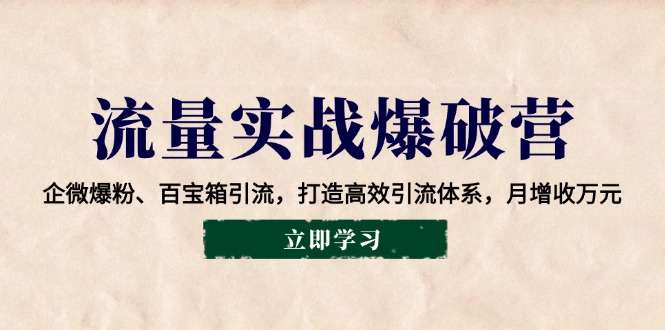 [引流-涨粉-软件]（14039期）流量实战爆破营：企微爆粉、百宝箱引流，打造高效引流体系，月增收万元