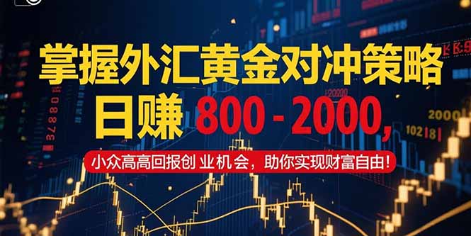 [虚拟项目]（15198期）掌握外汇黄金对冲策略，日赚 800 - 2000，小众高回报创业机会，助你实...