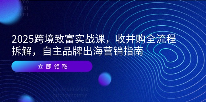[虚拟项目]（14975期）2025跨境致富实战课，收并购全流程拆解，自主品牌出海营销指南