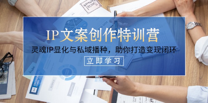 [文案写作]（14330期）IP文案创作特训营，灵魂IP显化与私域播种，助你打造变现闭环（14节课）