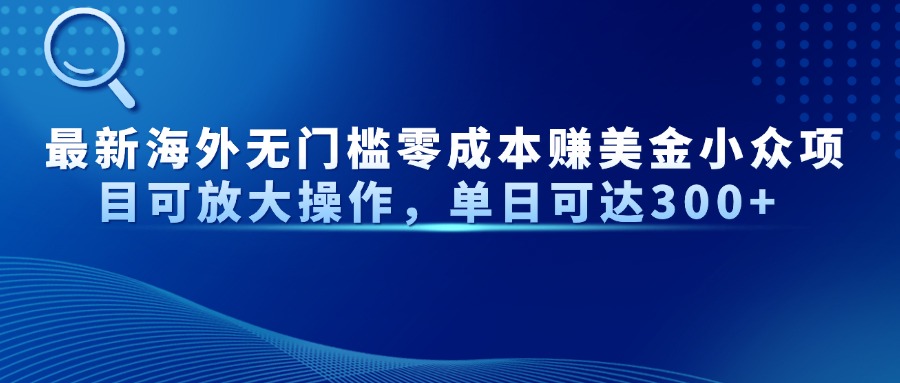 [虚拟项目]（14542期）最新海外无门槛零成本赚美金小众项目可放大操作，单日可达300+
