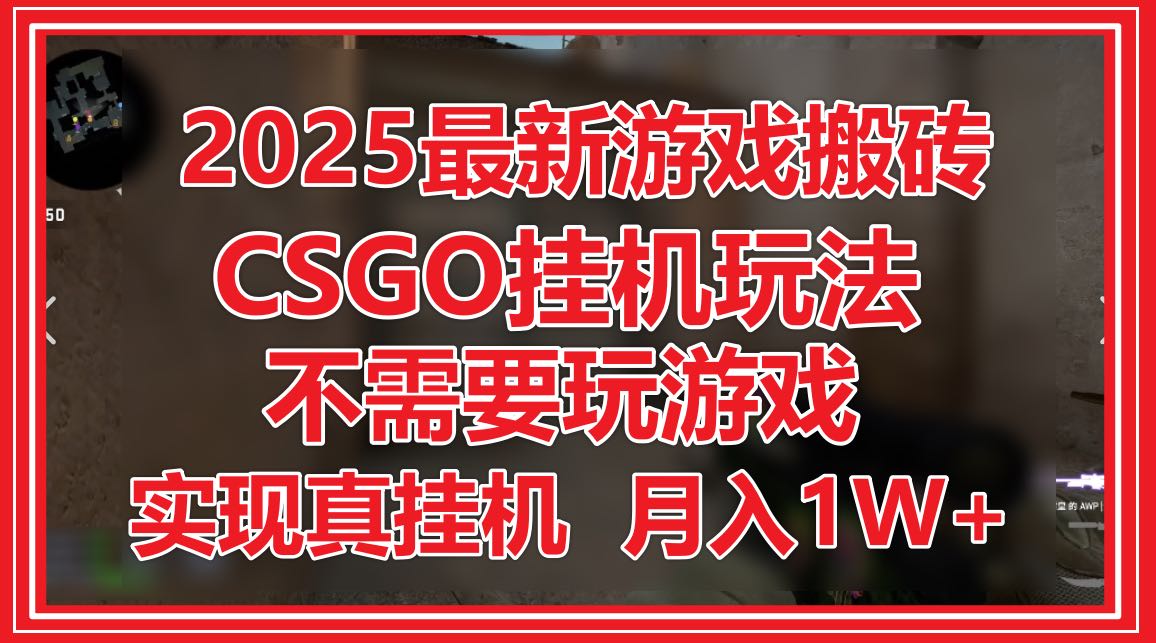 [虚拟项目]（14743期）2025最新游戏搬砖，CSGO挂机，不需要玩游戏，实现真挂机，月入1W+