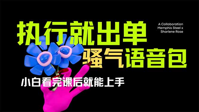 [虚拟项目]（14170期）爆火全网的开车导航骚气语音包,只要执行就出单，小白看完课程就能实操...