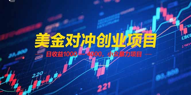 [投资理财]（15187期）美金对冲创业项目，日收益 1000 - 4000，小众暴力项目