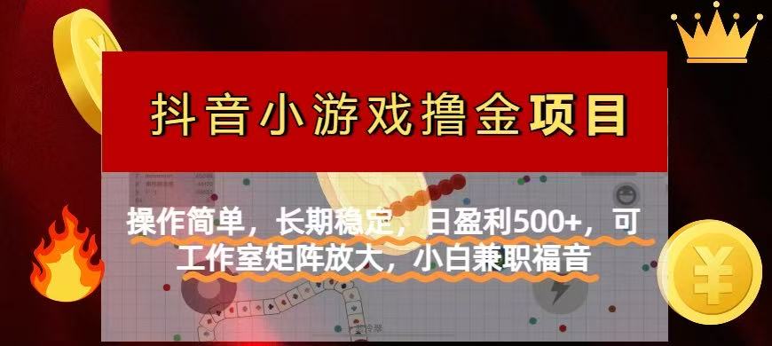 [虚拟项目]（14290期）【抖音小游戏发行人计划项目】操作简单，长期稳定，日盈利500+，可工作...