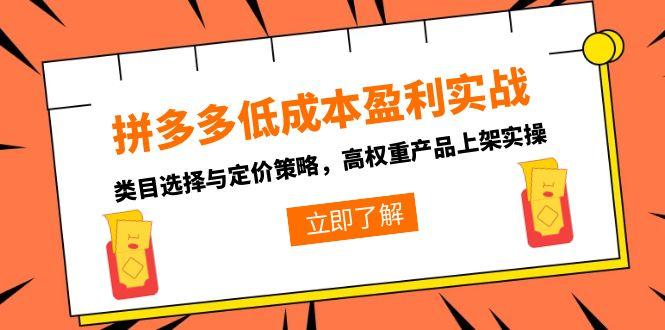 [国内电商]（15143期）拼多多低成本盈利实战，类目选择与定价策略，高权重产品上架实操