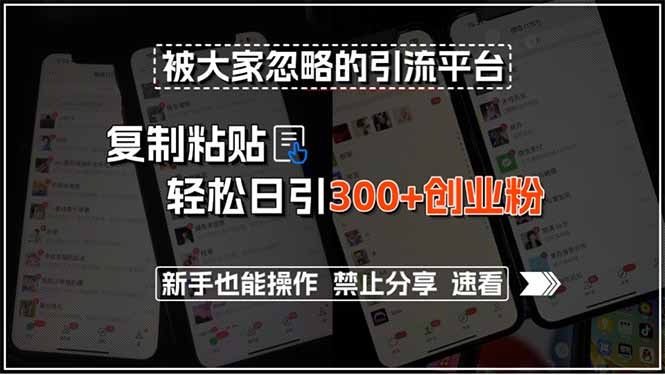 [虚拟项目]（15428期）被大家忽略的引流平台，复制粘贴轻松日引300+创业粉，新手也能操作，禁...