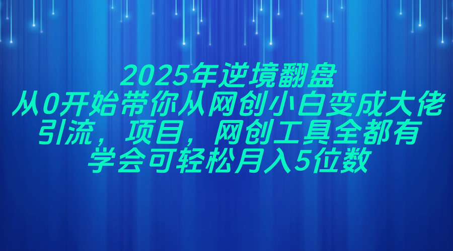 [虚拟项目]（14473期）2025年逆境翻盘，从0开始带你从网创小白变成大佬，引流，项目，网创工...