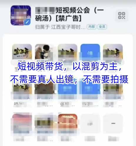 [短视频运营]（14692期）2025短视频带货内训营，以混剪为主，不需要真人出镜，不需要拍摄-第2张图片-智慧创业网