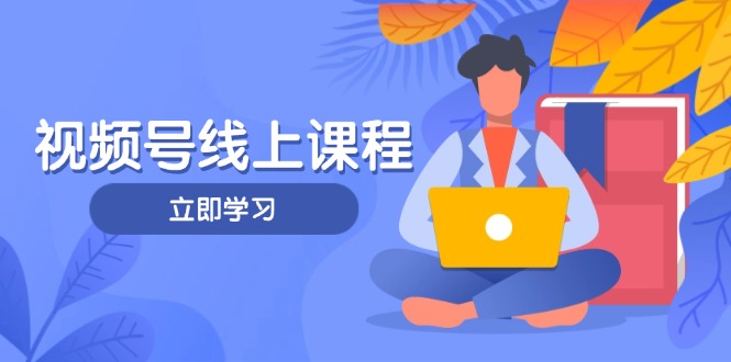 [短视频运营]（14360期）视频号实战课程，轻IP打造与运营技巧，掌握核心方法与策略