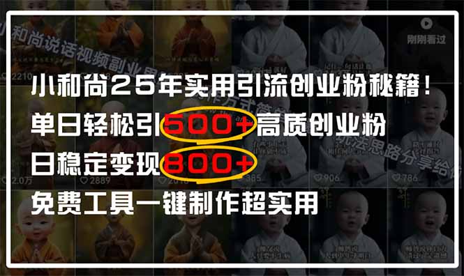 [虚拟项目]（14436期）小和尚2025年实用引流秘籍！单日轻松引500+高质量创业粉，日变现800+，...