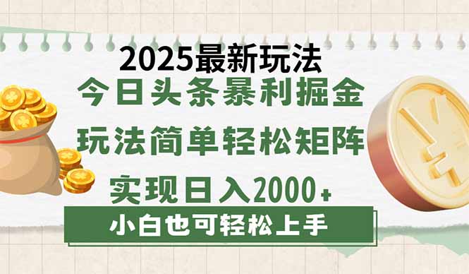 [虚拟项目]（14120期）今日头条2025最新玩法，思路简单，复制粘贴，轻松实现矩阵日入2000+-第1张图片-智慧创业网