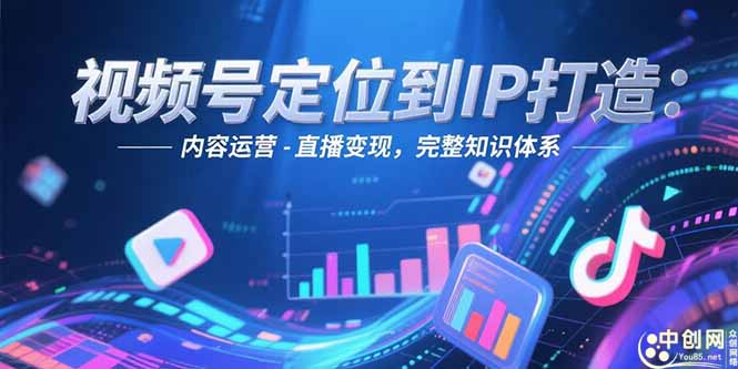 [短视频运营]（15173期）视频号定位到IP打造：账号搭建-内容运营-直播变现，完整知识体系