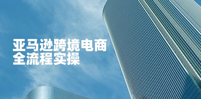 [跨境电商]（14252期）亚马逊跨境电商全流程实操，教你从零开始，掌握店铺运营与广告技巧