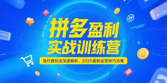 [国内电商]（15183期）拼多多盈利实战训练营，强付费玩法深度解析，2025运营技巧合集-更新6月
