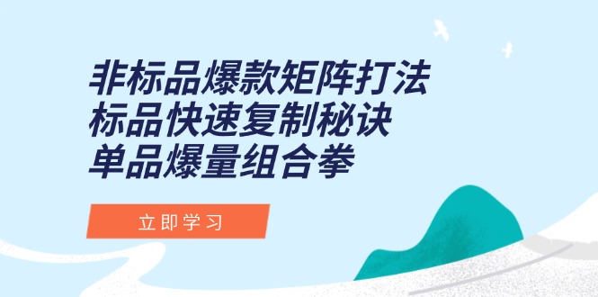 [国内电商]（15068期）非标品爆款矩阵打法，标品快速复制秘诀，单品爆量组合拳