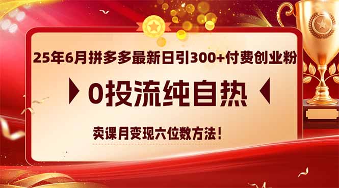 [虚拟项目]（14989期）25年6月拼多多最新日引300+付费创业粉，0投流纯自热 卖课月变现六位数方法