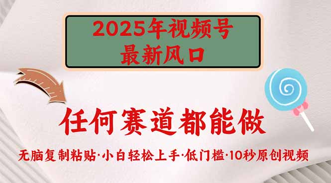 [虚拟项目]（14453期）2025年视频号新风口，低门槛只需要无脑执行