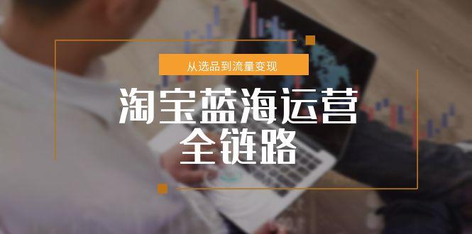 [国内电商]（15160期）淘宝蓝海运营全链路，从选品到流量变现，小类目突围完整方案