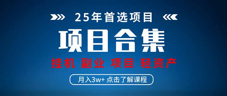 [虚拟项目]（14175期）2025 实操项目合集 挂机类型 直播类型 轻资产创业类型 课程分享各项目...