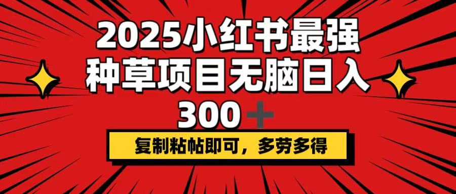 [虚拟项目]（14375期）2025小红书最强种草项目，无脑日入300+，复制粘帖即可，多劳多得