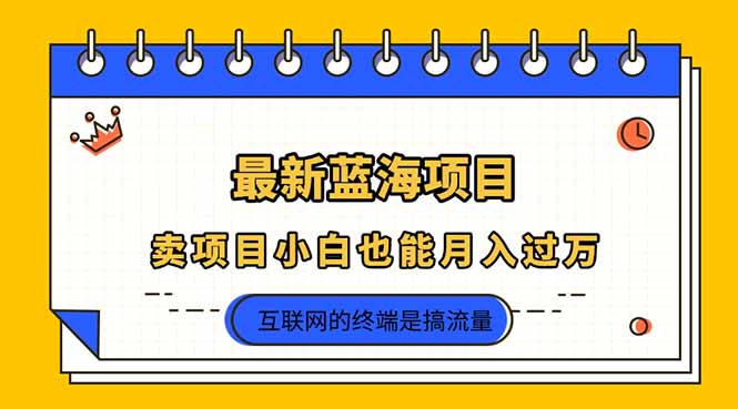 [虚拟项目]（14289期）2025年最新蓝海项目，卖项目小白也能月入过万