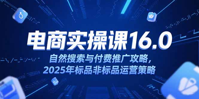 [国内电商]（15262期）淘宝电商运营课16.0，自然搜索与付费推广攻略，2025年标品非标品运营策略